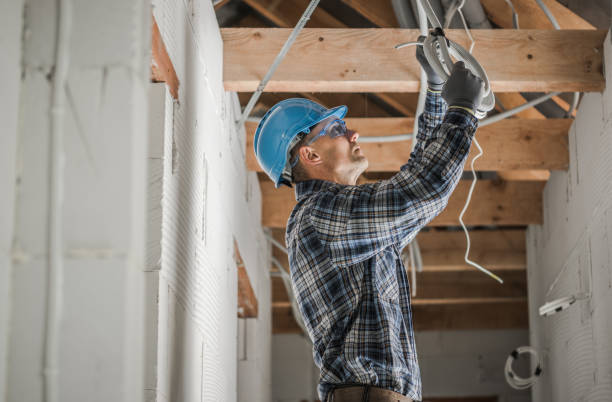 Best Electric Panel Repair  in Chesapeake, VA