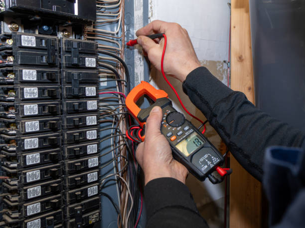 Best Electric Panel Repair  in Chesapeake, VA